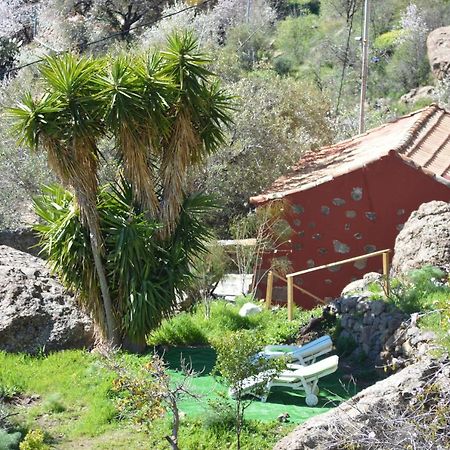 Casa Cueva El Pedregal Tejedaヴィラ エクステリア 写真