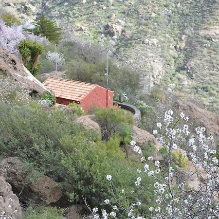 Casa Cueva El Pedregal Tejedaヴィラ エクステリア 写真