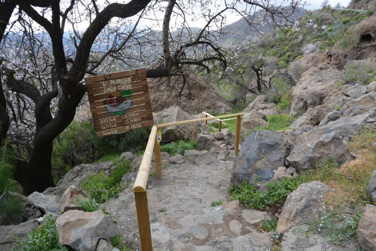 Casa Cueva El Pedregal Tejedaヴィラ エクステリア 写真