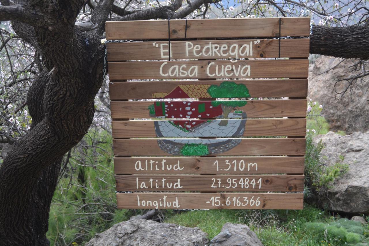 Casa Cueva El Pedregal Tejedaヴィラ エクステリア 写真