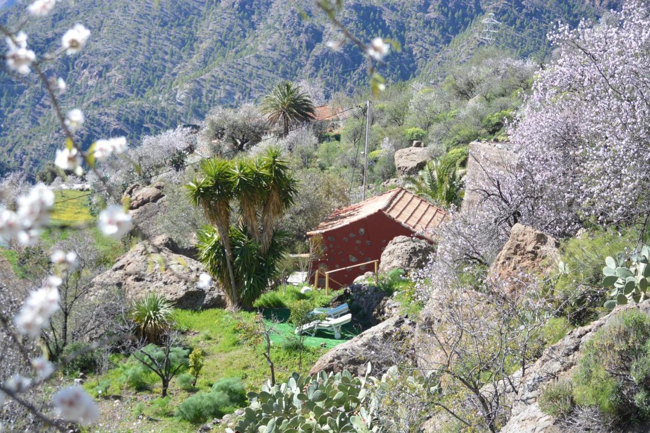 Casa Cueva El Pedregal Tejedaヴィラ エクステリア 写真