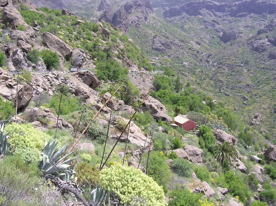 Casa Cueva El Pedregal Tejedaヴィラ エクステリア 写真
