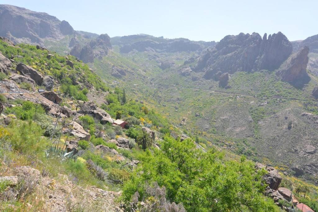 Casa Cueva El Pedregal Tejedaヴィラ エクステリア 写真