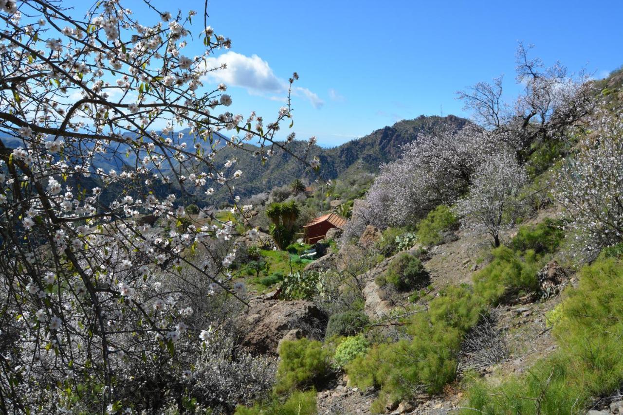 Casa Cueva El Pedregal Tejedaヴィラ エクステリア 写真