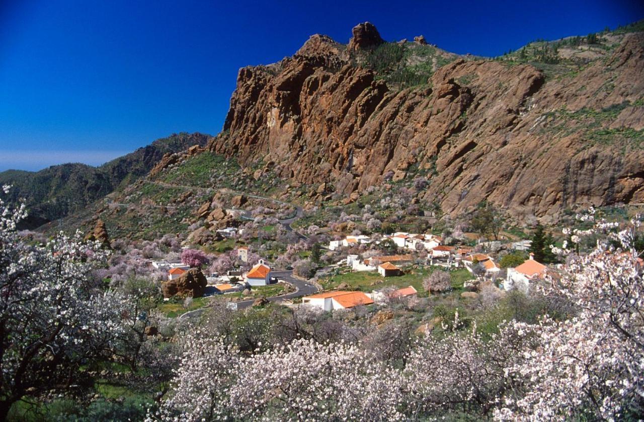 Casa Cueva El Pedregal Tejedaヴィラ エクステリア 写真